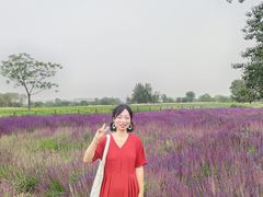 -汉长安城未央宫国家考古遗址公园