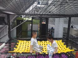 -动力星球家庭亲子游乐中心