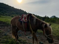 -灵山
