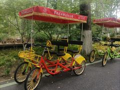 -合肥滨湖国家森林公园