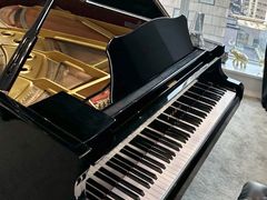 -Melody Mentor音乐私教馆(朝外·悠唐店)