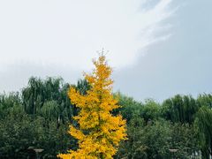 -太阳宫公园