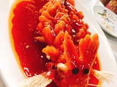-丁老爷子苏香圆