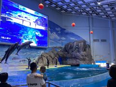 -福州罗源湾海洋世界旅游区