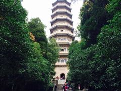 -灵谷景区