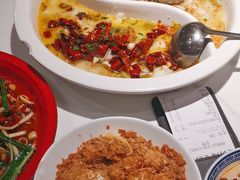 -禄鼎记·排队俩小时都要吃的酸菜鱼(石牌桥店)