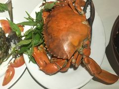 -越海渔村