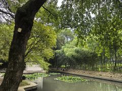 -兰亭风景区