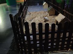 -常州海昌海洋探索馆