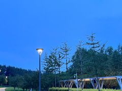 -马家湾湿地公园