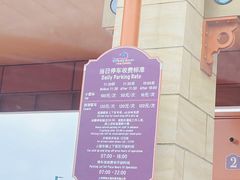-迪士尼乐园停车场