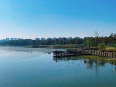 -春花秋色城市公园