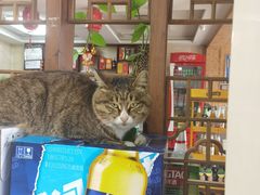 -九寨沟石锅鱼(沣峪口二十年店)