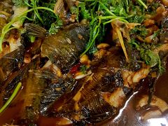 红烧昂刺鱼-杨辉饭店