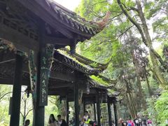 -青城山