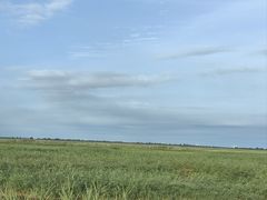 -红海滩国家风景廊道