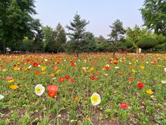 -石家庄市植物园