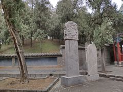 -关林
