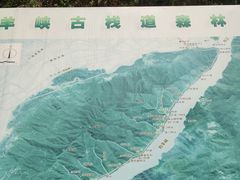 -羚羊峡古栈道森林公园