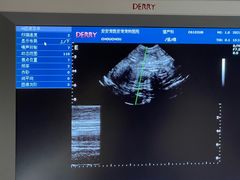 -安安宠医·安宠宠物医院