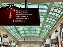 -澳门威尼斯人综合度假区