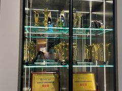 -索菲亚全屋定制衣柜橱柜家具(金源居然之家世纪购物中心店)