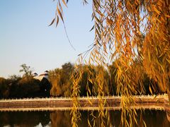 -迎泽公园