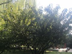 -远洋未来广场(育慧北路店)