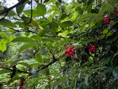 -西岭雪山大飞水景区