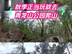 -青龙山国家森林公园