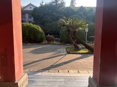 -四川大学(华西校区)