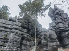 -梭布垭石林景区