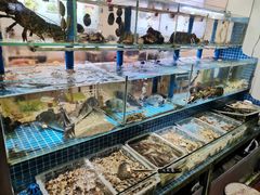 水产区-富临港·蒸汽海鲜·手抓海鲜·炒菜(栈桥店)