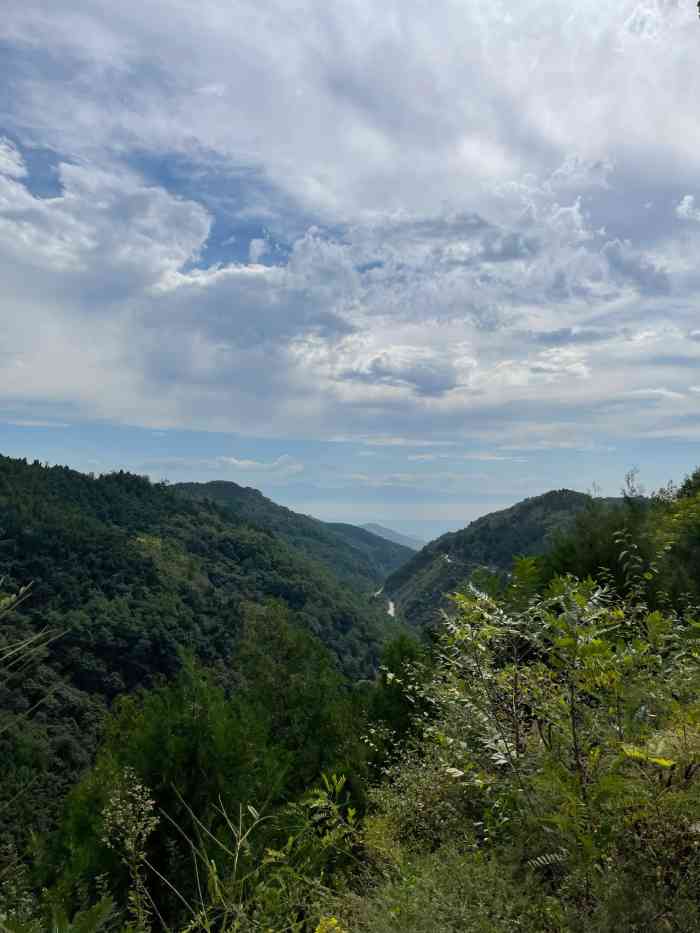 洪庆山森林公园-"从西安导航到洪庆山森林公园为了看最美环山.