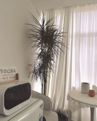 -张小野·专业半永久纹眉