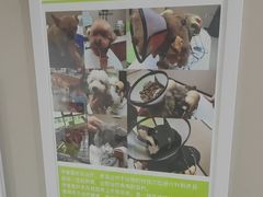 -瑞鹏宠物医院·眼科·皮肤·中兽医(大悦城分院)