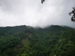 -大奇山国家森林公园