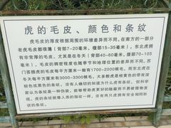 -横道河子东北虎林园