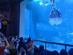 -太平洋海底世界