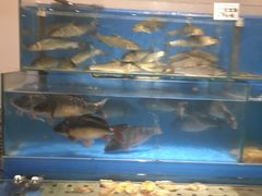 水产区-六顺园清真回族饭店(工程街店)
