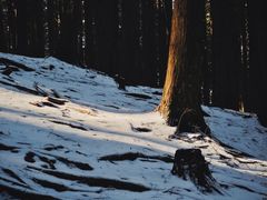 -庐山风景名胜区