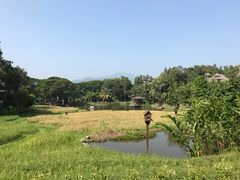 -四季酒店下午茶
