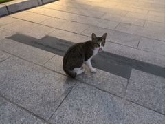 -石炮台公园