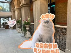 -杭州新新饭店·1913餐厅