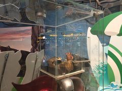 -万达影城IMAX(海口日月广场店)