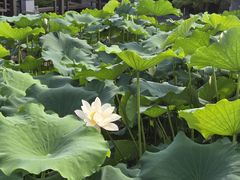 -绍兴大禹开元观堂-若耶厅