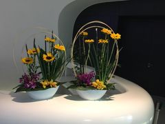 -FEI FEI FLOWER鲜花店·气球派对·宝宝宴布置(虹口德必运动Loft店)