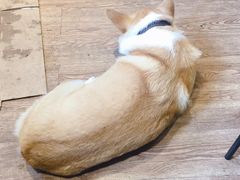 芒果-阿木舂记·特色小吃(平江路店)