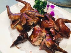 红烧脆皮乳鸽-万宝海鲜舫(劳动公园店)