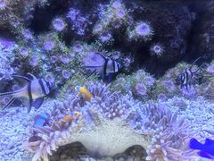 -成都浩海立方海洋公园